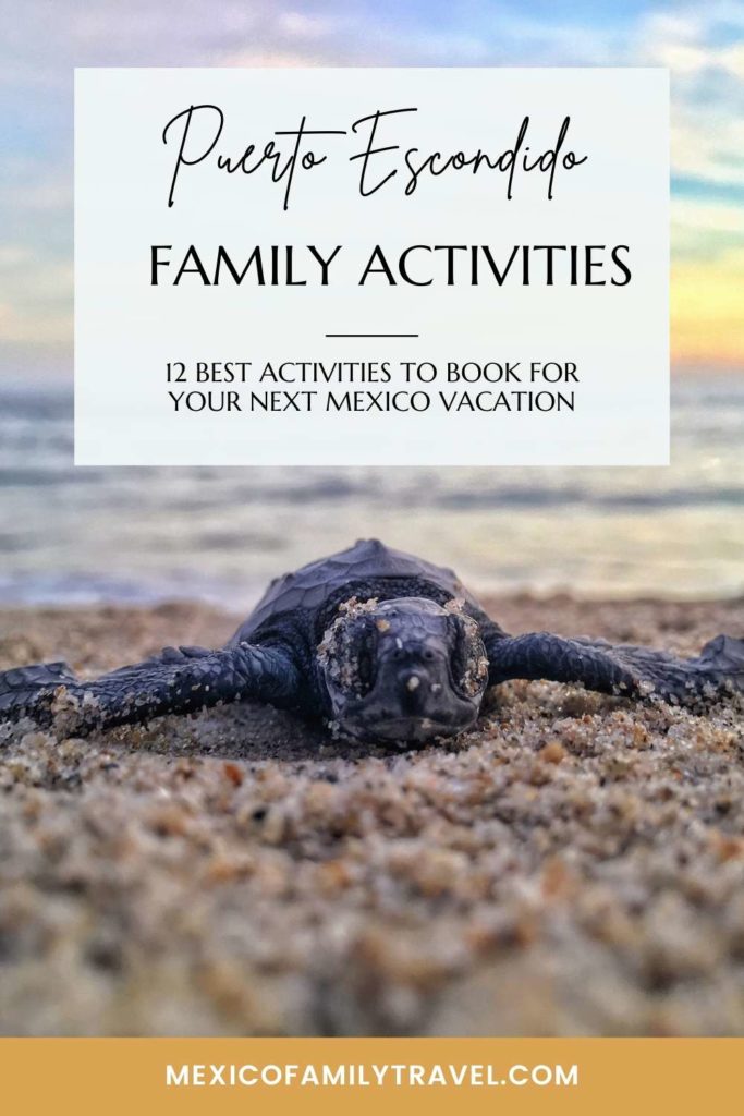 12 Best Puerto Escondido Activities To Book For Your Next Mexico Family Vacation | Mexico Family Travel

Pinterest image for a Mexico family vacation travel blog.

Image description: baby sea turtle on the sand, with a title overlay