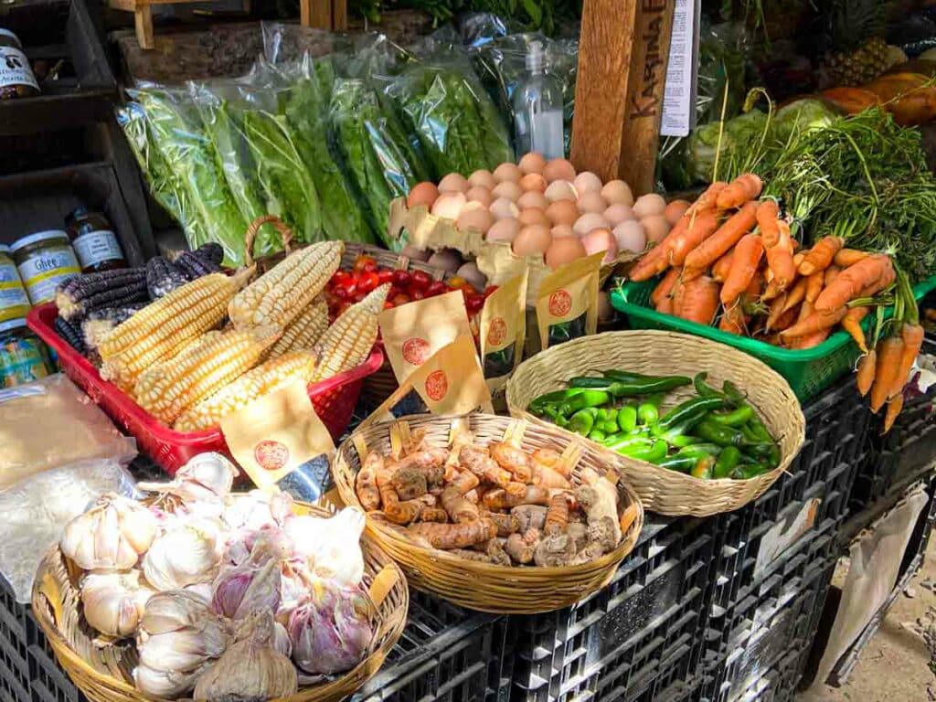Market stall with baskets containing garlic, ginger, peppers, carrots, green herbs, eggs, tomatoes, corn, and lettuce.