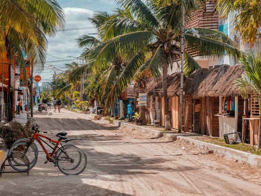 A dirt road with palm trees and stores lined on either side. A bike is in the foreground.